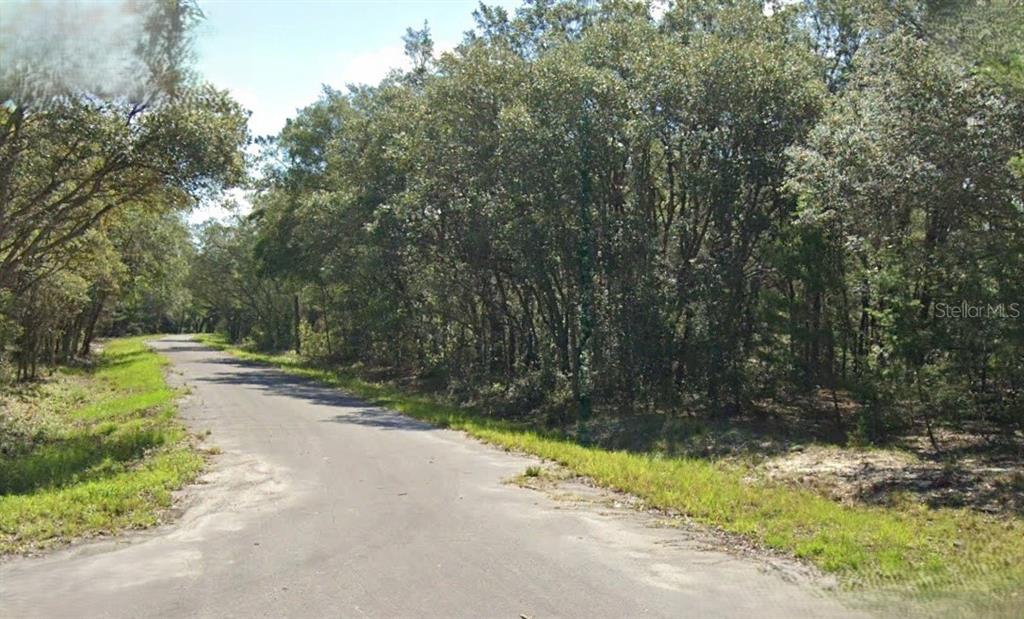 Property for sale at FISHER WAY DRIVE, OCKLAWAHA, FL, 32179