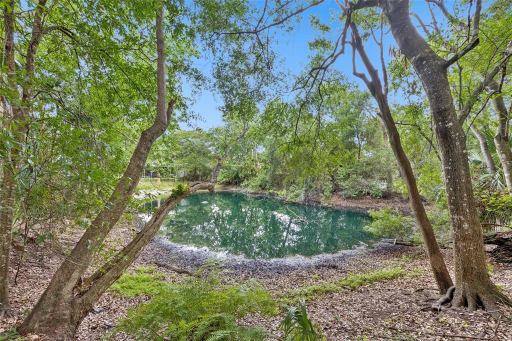 Property for sale at 1318 COLETTA DRIVE, ORLANDO, FL, 32807