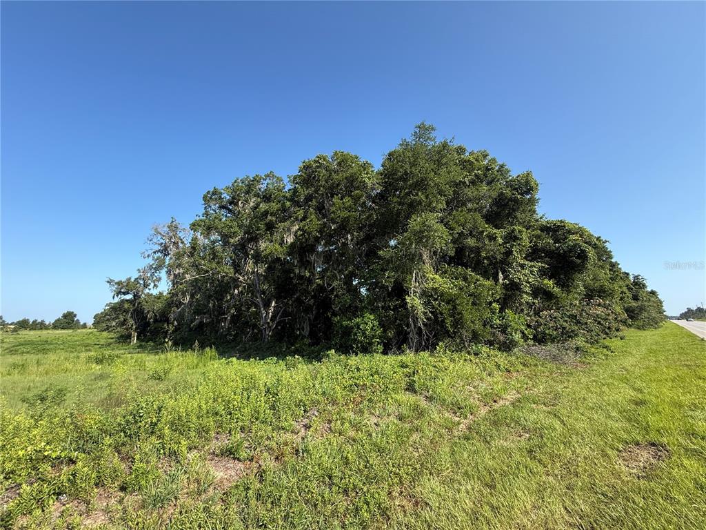 Property for sale at XX SW 80TH AVENUE, OCALA, FL, 34476