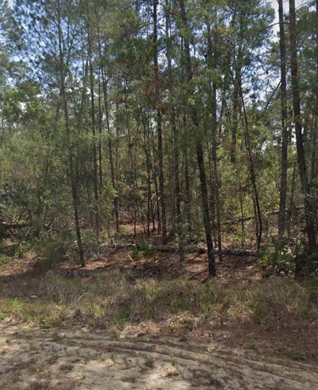 Property for sale at 13 SCABIOSA COURT, HOMOSASSA, FL, 34446