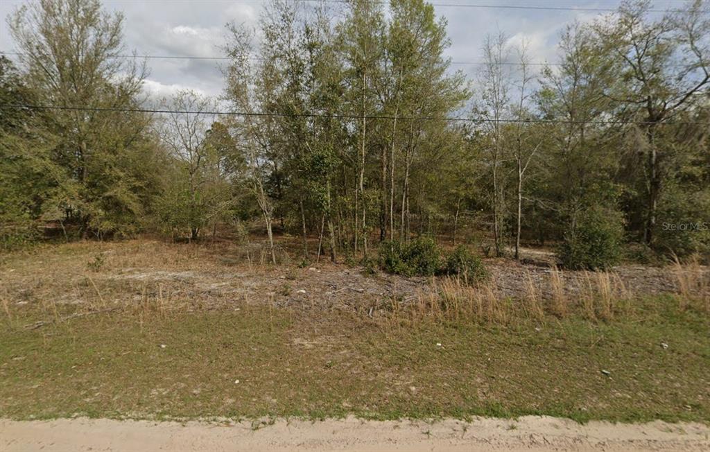 Property for sale at LOT 15 MARION AVENUE, INTERLACHEN, FL, 32148