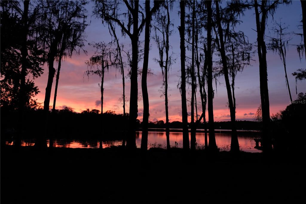 Property for sale at 16308 ROCK LAKE DRIVE, ODESSA, FL, 33556