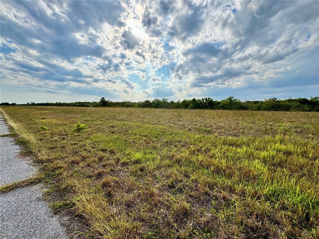 Property for sale at 12319 GREENLING WAY, PLACIDA, FL, 33946
