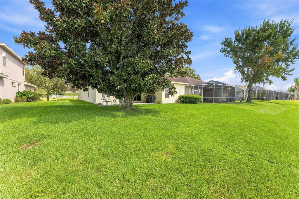 Lots of space to run around in your yard