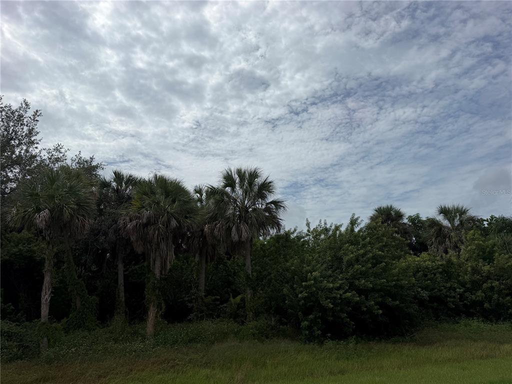 Property for sale at 18445 LAKE WORTH BOULEVARD, PORT CHARLOTTE, FL, 33948