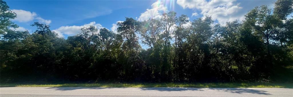 Property for sale at TBD FISHER ROAD, OCKLAWAHA, FL, 32179