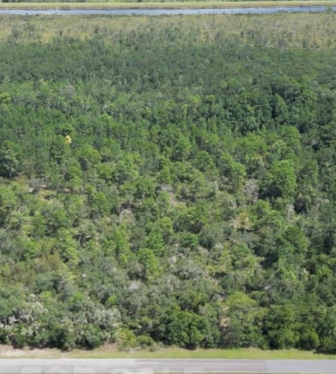 Property for sale at TBD FISHER ROAD, OCKLAWAHA, FL, 32179