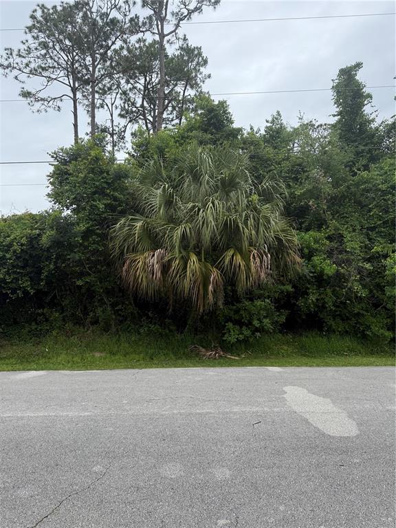 Property for sale at 38 SQUASH BLOSSOM TRAIL, PALM COAST, FL, 32164