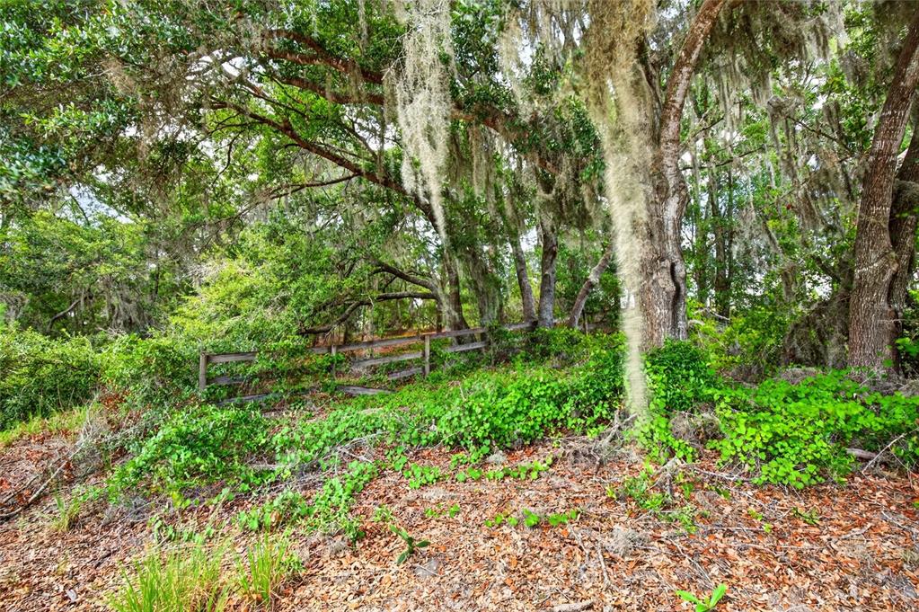 Property for sale at MALAUKA LOOP, OCKLAWAHA, FL, 32179