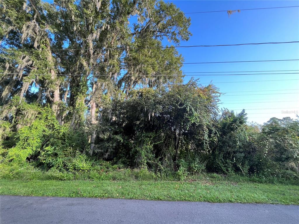 Property for sale at 270 TOMS ROAD, DEBARY, FL, 32713