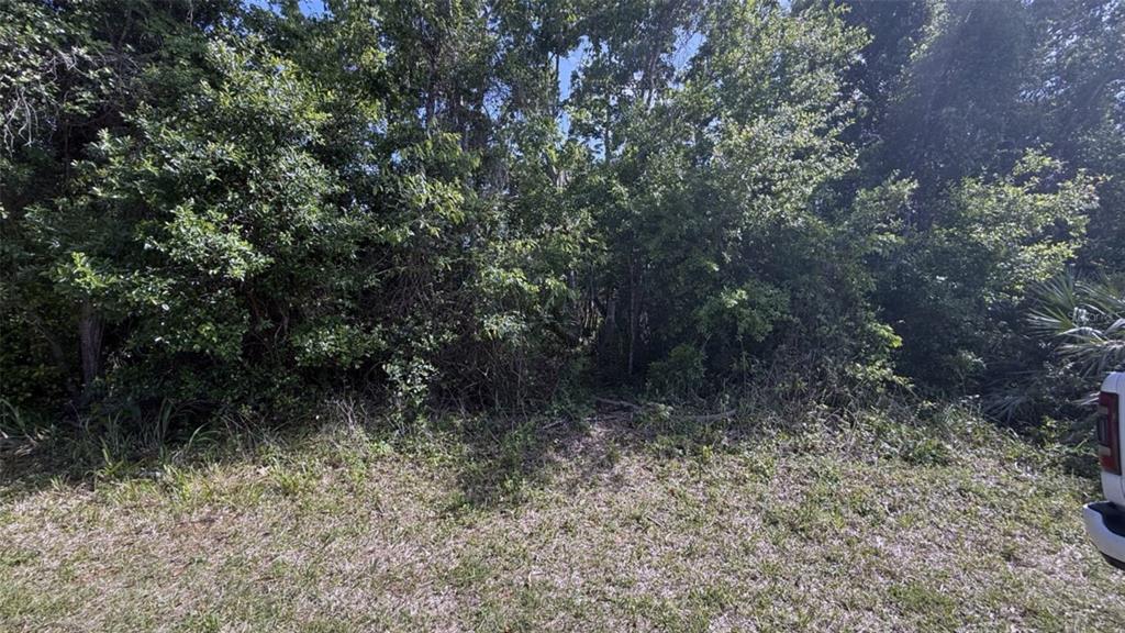 Property for sale at 0.5 WASHINGTON STREET, NEW SMYRNA BEACH, FL, 32168