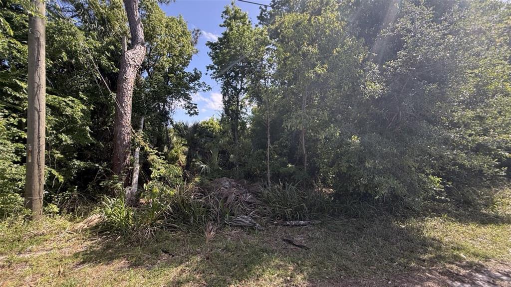 Property for sale at 0.5 WASHINGTON STREET, NEW SMYRNA BEACH, FL, 32168