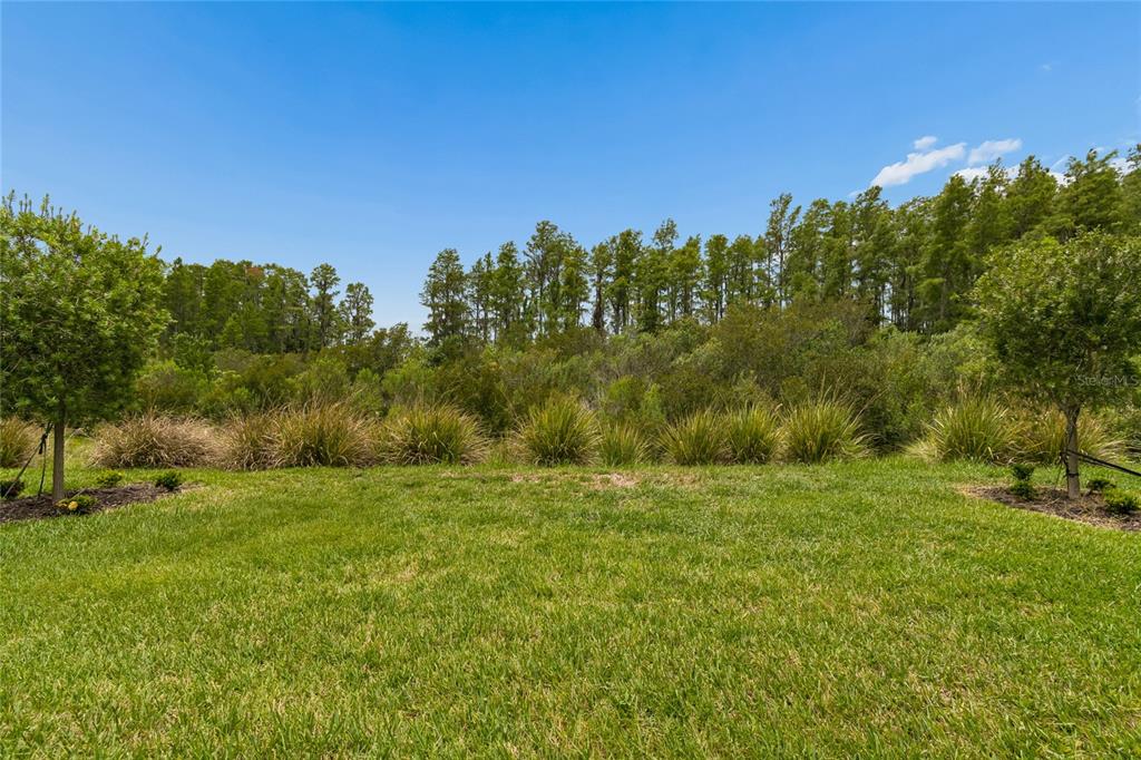 Property for sale at 29534 GINNETTO DRIVE, WESLEY CHAPEL, FL, 33543