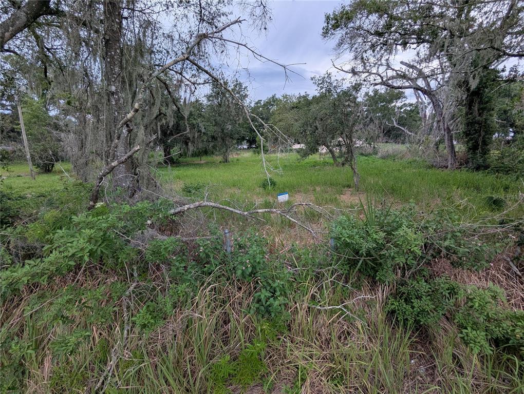 Property for sale at 0 CENTRAL AVENUE, MULBERRY, FL, 33860