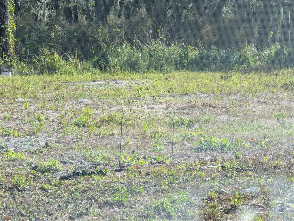 Property for sale at 0 CENTRAL AVENUE, MULBERRY, FL, 33860
