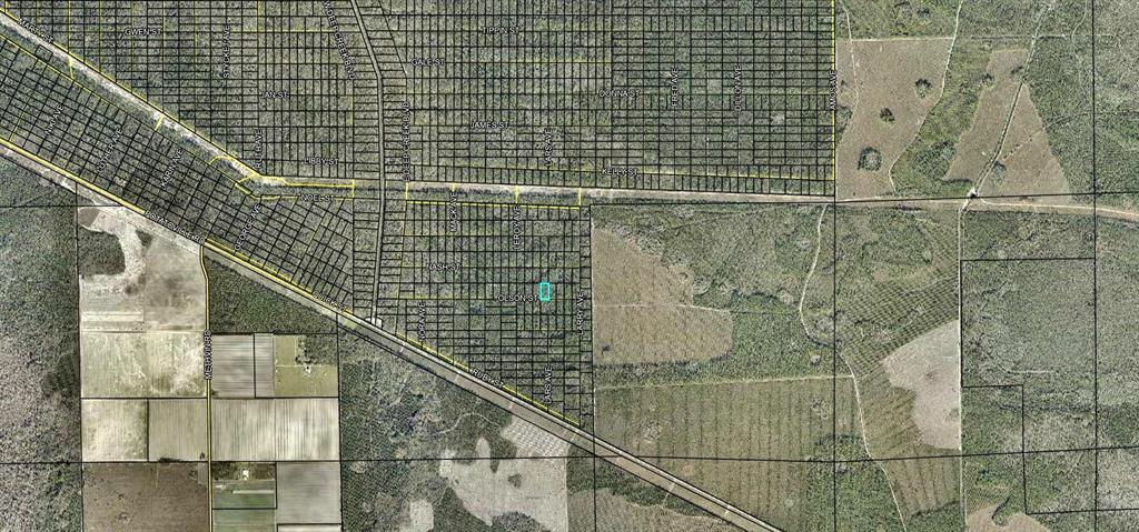 Property for sale at LT 1013 OLSON STREET, HASTINGS, FL, 32145