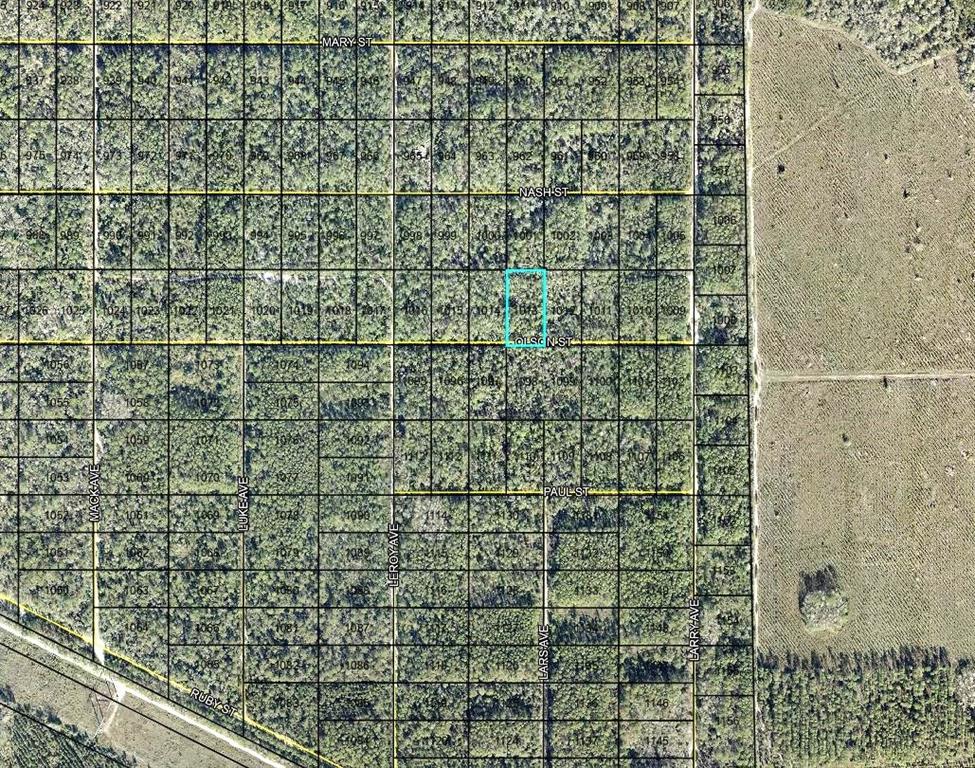 Property for sale at LT 1013 OLSON STREET, HASTINGS, FL, 32145