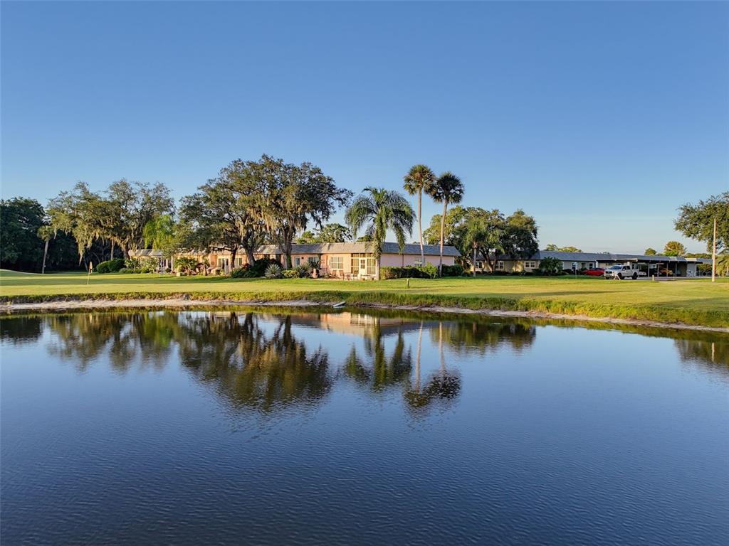 Pond View