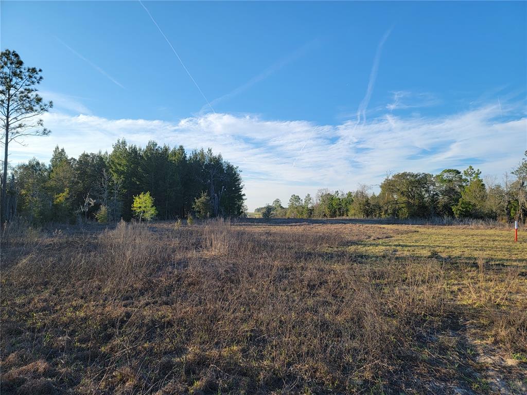Clearing