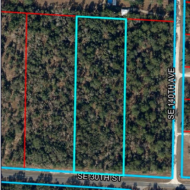 Property for sale at SE 30TH STREET, MORRISTON, FL, 32668