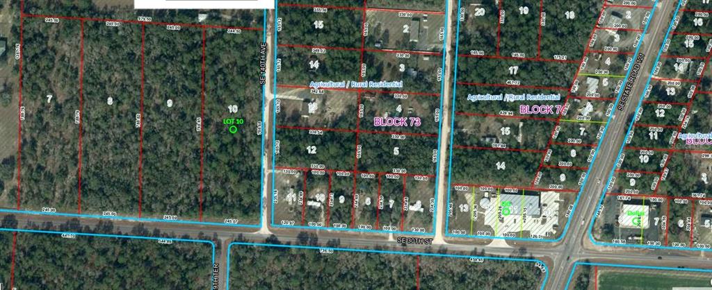Property for sale at SE 30TH STREET, MORRISTON, FL, 32668