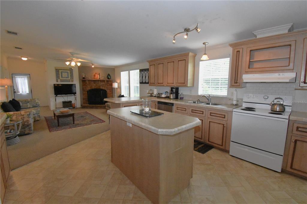 Property for sale at 11804 SE COUNTY ROAD 234, MICANOPY, FL, 32667
