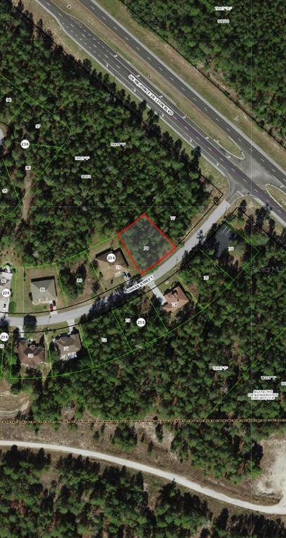Property for sale at 111 GRASS STREET, HOMOSASSA, FL, 34446