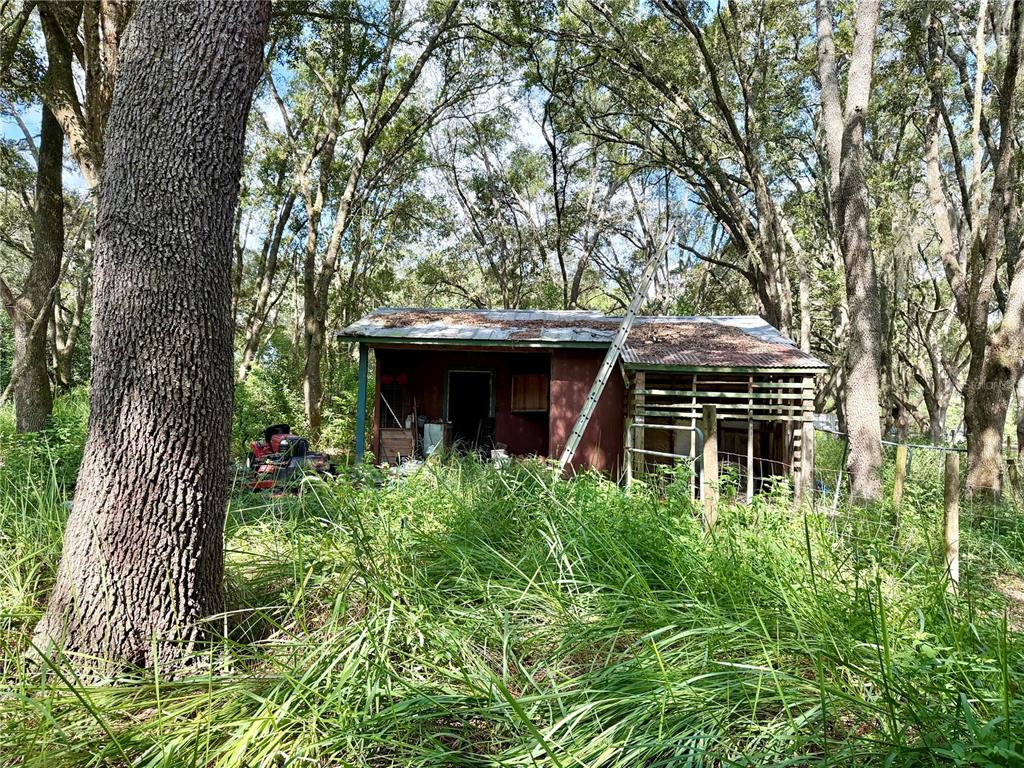 Barn / chicken coop