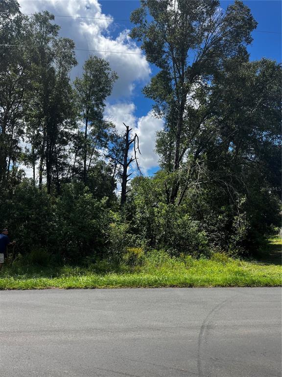 Property for sale at 8534 W BASILICO STREET, CRYSTAL RIVER, FL, 34428