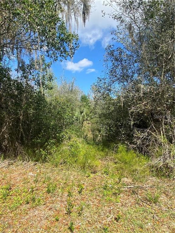 Property for sale at W BERESFORD ROAD, DELAND, FL, 32720