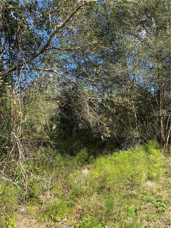 Property for sale at W BERESFORD ROAD, DELAND, FL, 32720