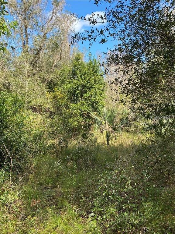Property for sale at W BERESFORD ROAD, DELAND, FL, 32720