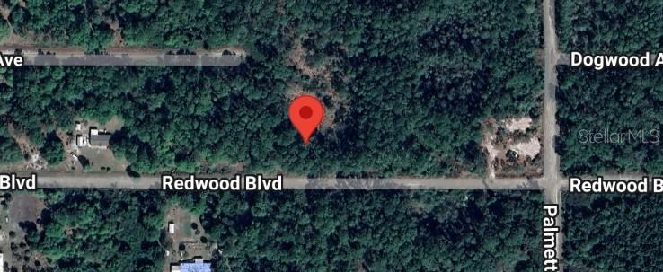 Property for sale at 324 REDWOOD BOULEVARD, GEORGETOWN, FL, 32139
