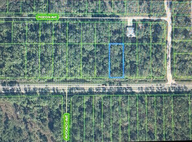 Property for sale at 2600 HAMMOCK ROAD, SEBRING, FL, 33872