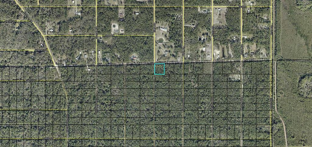 Property for sale at XXX DIVISION STREET, HASTINGS, FL, 32145