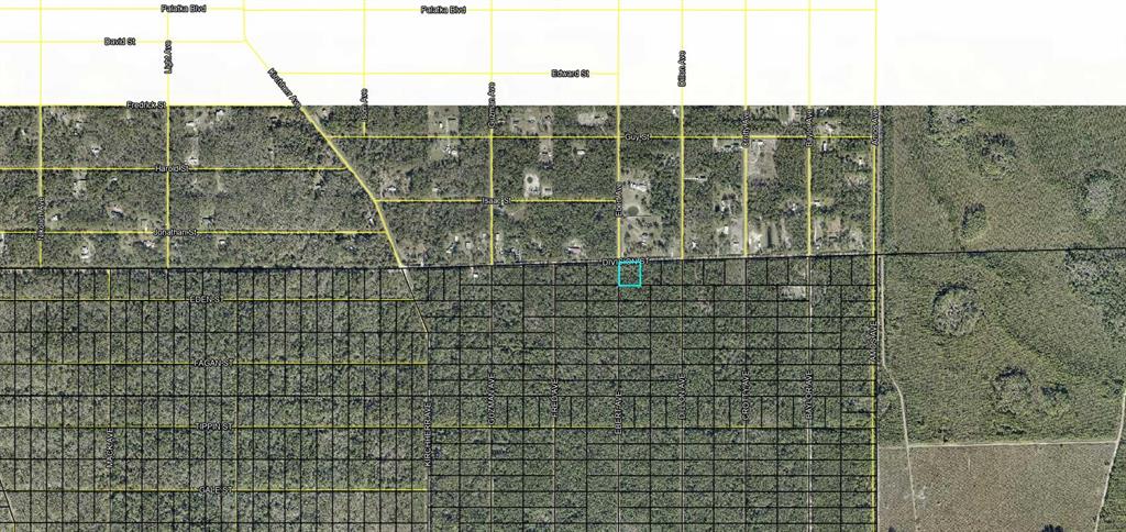 Property for sale at XXX DIVISION STREET, HASTINGS, FL, 32145
