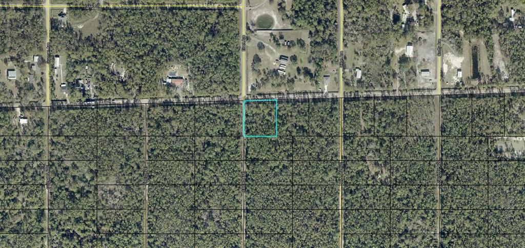 Property for sale at XXX DIVISION STREET, HASTINGS, FL, 32145