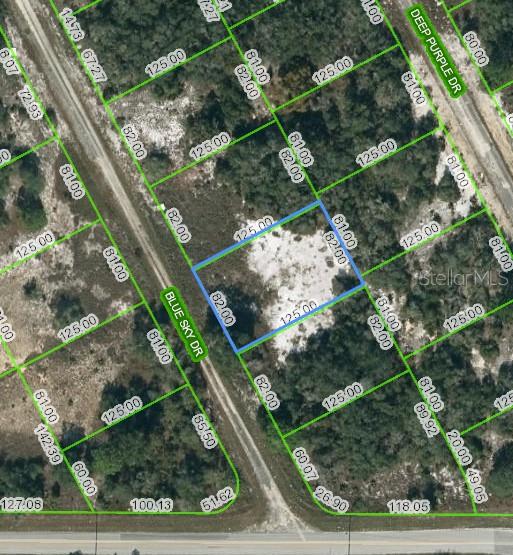 Property for sale at 205 BLUE SKY DRIVE, LAKE PLACID, FL, 33852