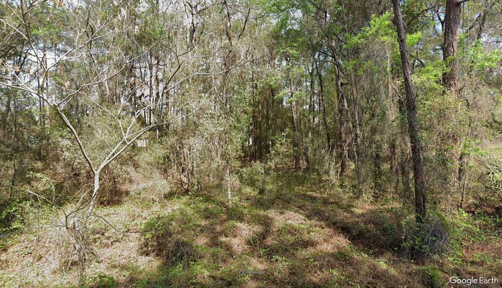 Property for sale at 14525 SW 21ST PLACE, OCALA, FL, 34481
