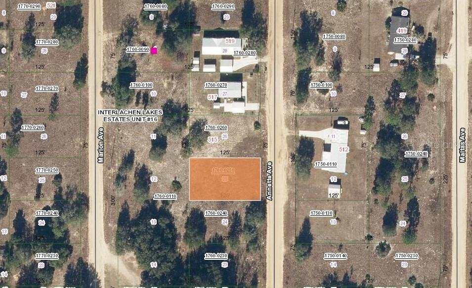 Property for sale at 513 ANNETTE AVENUE, INTERLACHEN, FL, 32148