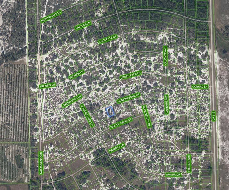 Property for sale at 463 HUMORESQUE LANE, LAKE PLACID, FL, 33852