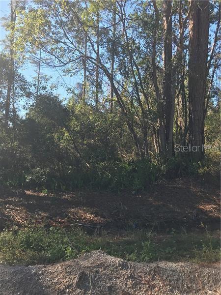 Property for sale at HILL PAPER AVENUE, DELTONA, FL, 32725