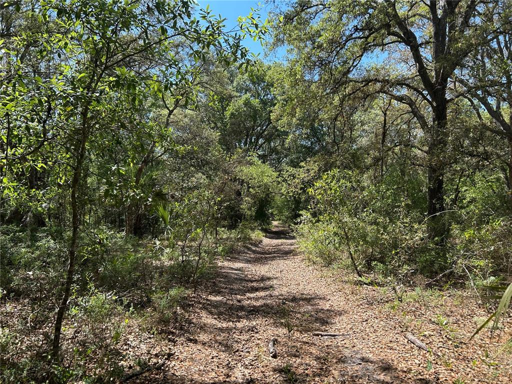 Property for sale at TBD SE 62ND, MORRISTON, FL, 32668