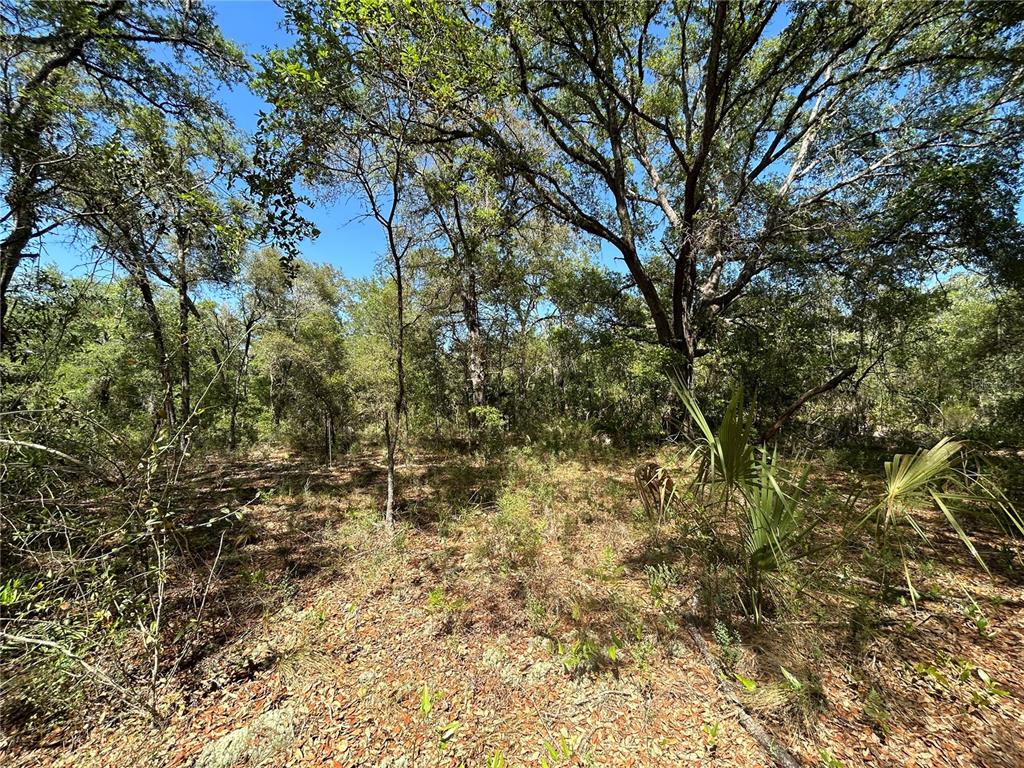 Property for sale at TBD SE 62ND, MORRISTON, FL, 32668
