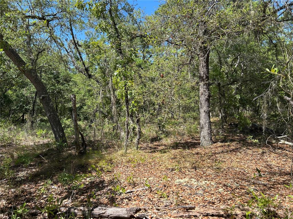 Property for sale at TBD SE 62ND, MORRISTON, FL, 32668
