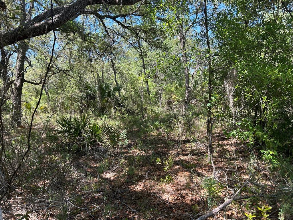 Property for sale at TBD SE 62ND, MORRISTON, FL, 32668