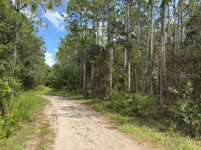 Property for sale at 0000 SW 39TH STREET, DUNNELLON, FL, 34432