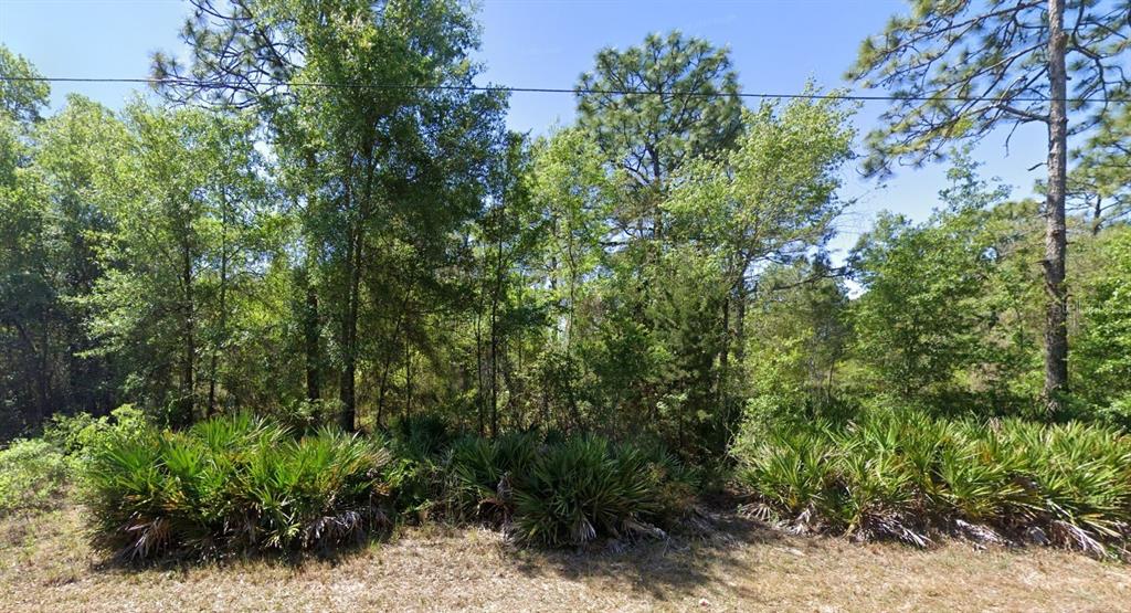 Property for sale at 7350 W VILLAGE DRIVE, HOMOSASSA, FL, 34446