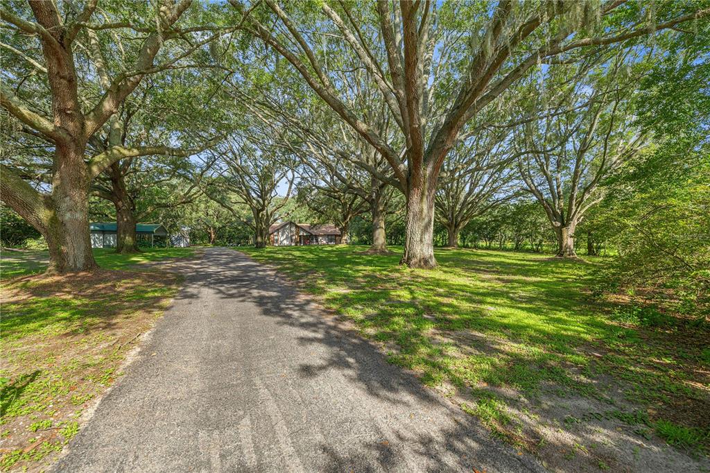 Property for sale at 16250 SW 20TH AVENUE ROAD, OCALA, FL, 34473