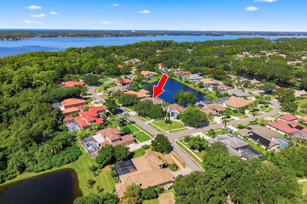 Property for sale at 3763 EXECUTIVE DRIVE, PALM HARBOR, FL, 34685